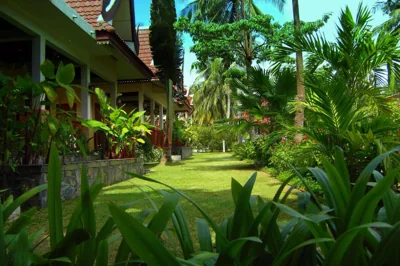 Palm Village – 写真 16